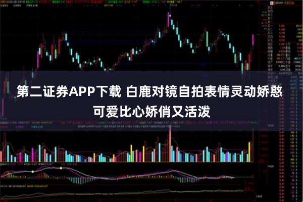 第二证券APP下载 白鹿对镜自拍表情灵动娇憨 可爱比心娇俏又活泼