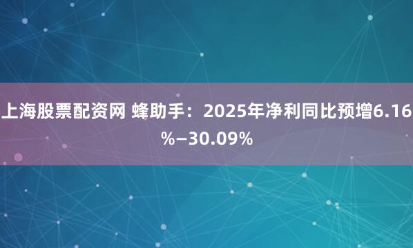 上海股票配资网 蜂助手：2025年净利同比预增6.16%—30.09%