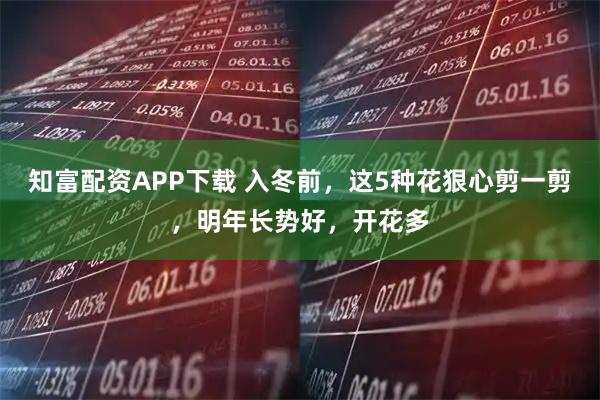知富配资APP下载 入冬前，这5种花狠心剪一剪，明年长势好，开花多