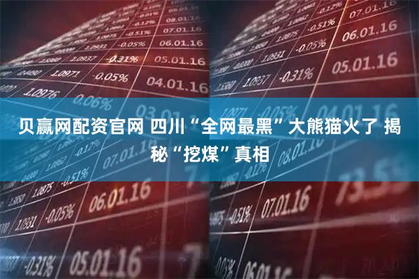 贝赢网配资官网 四川“全网最黑”大熊猫火了 揭秘“挖煤”真相