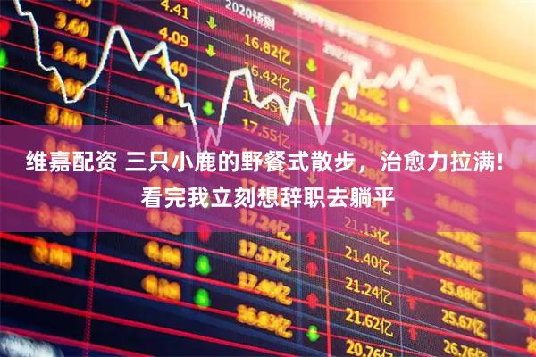 维嘉配资 三只小鹿的野餐式散步，治愈力拉满! 看完我立刻想辞职去躺平
